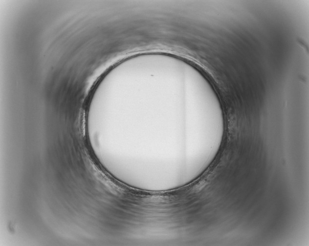 X0000102271510200808151852