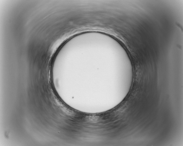 X0000102271511200808151852