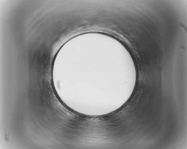 X0000102271512200808151852