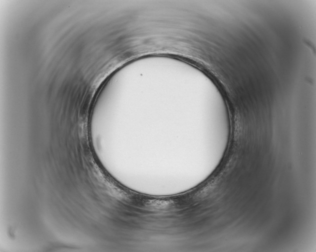 X0000102271513200808151852