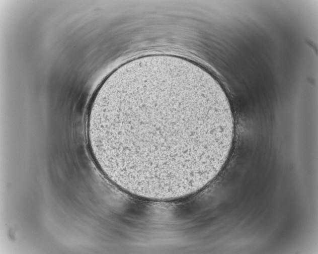 X0000102271514200808151852