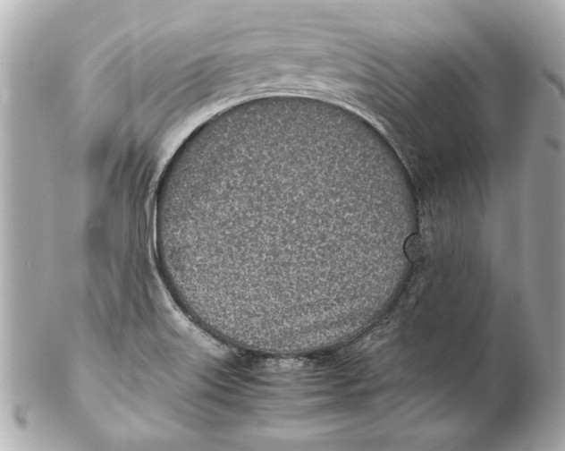 X0000102271515200808151852