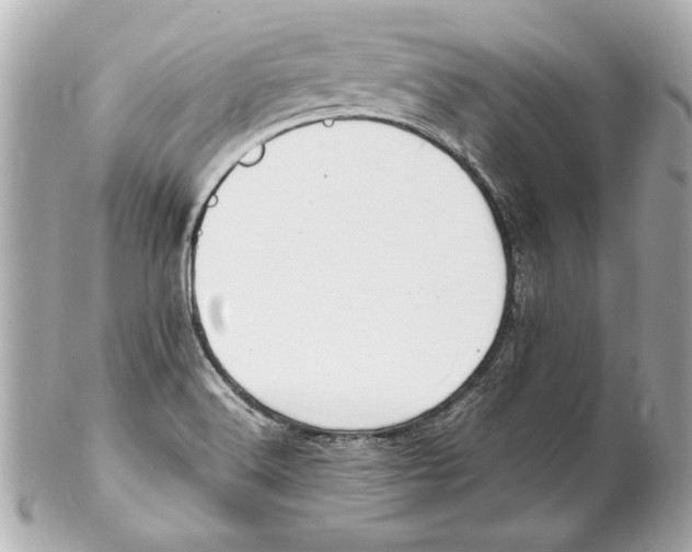 X0000102271516200808151852