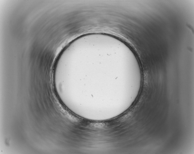 X0000102271517200808151852