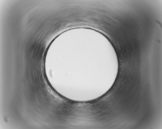 X0000102271518200808151852