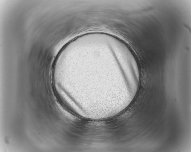 X0000102271519200808151852