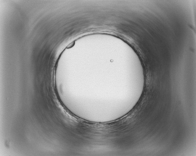 X0000102271520200808151852