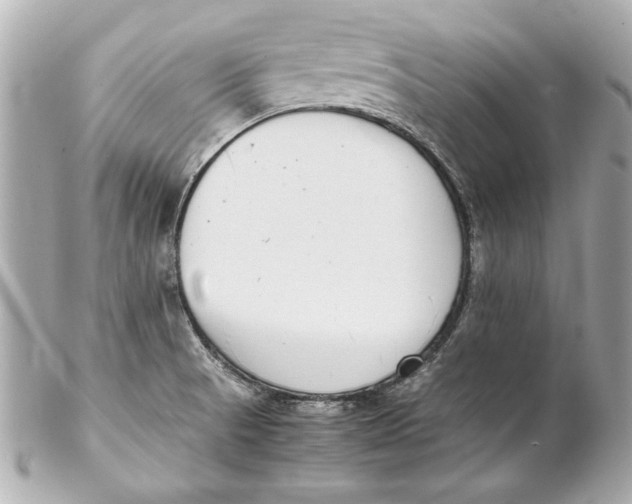 X0000102271521200808151852