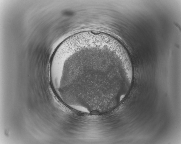 X0000102271522200808151852