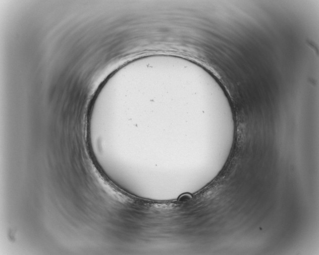 X0000102271523200808151852