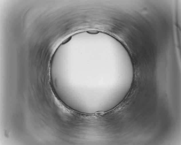 X0000102271524200808151852