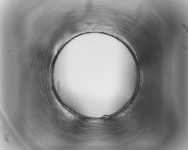 X0000102271525200808151852