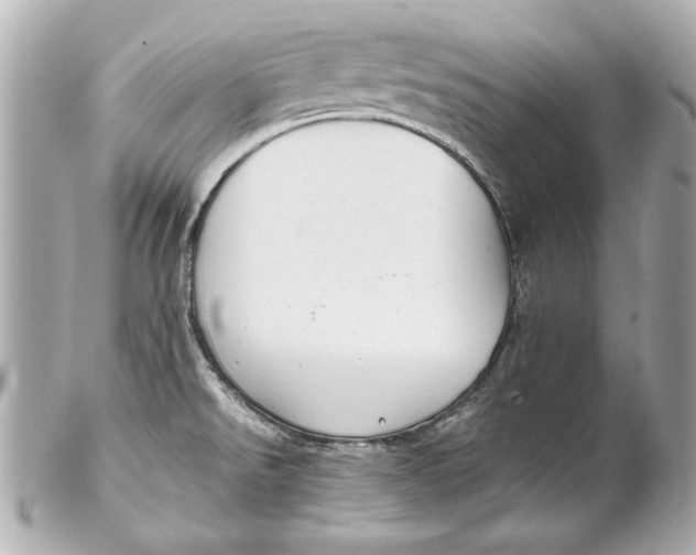 X0000102271526200808151852