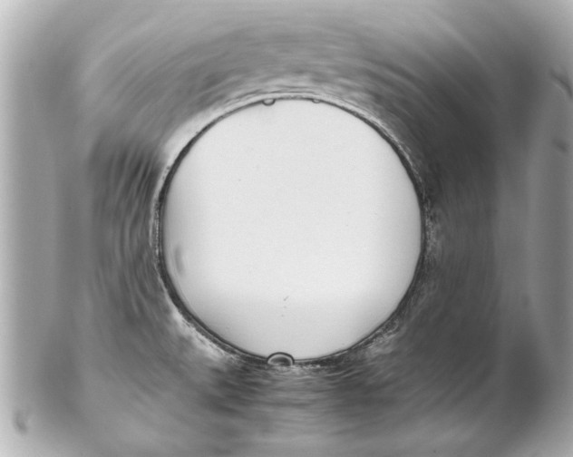 X0000102271527200808151852