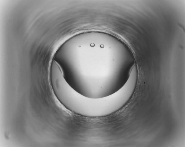 X0000102271528200808151852