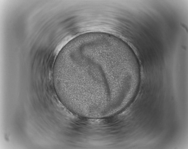 X0000102271529200808151852