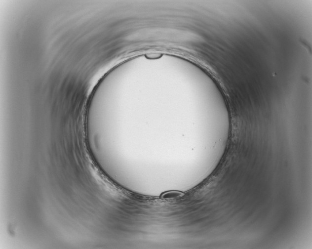 X0000102271530200808151852