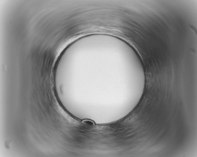 X0000102271531200808151852