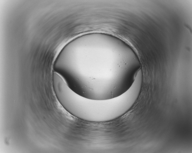 X0000102271532200808151852