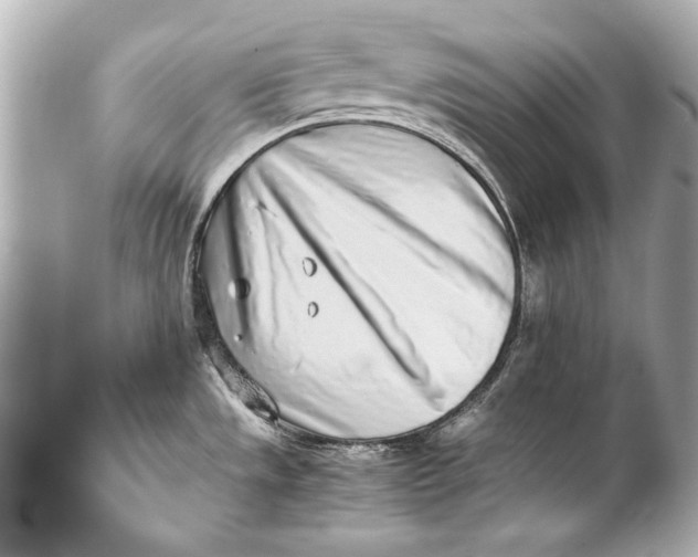 X0000102271533200808151852