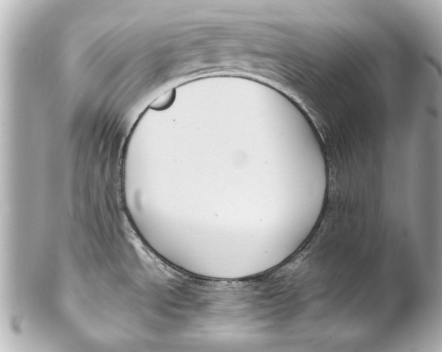 X0000102271534200808151852