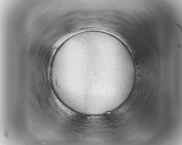 X0000102271535200808151852