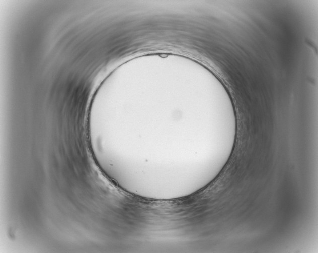 X0000102271536200808151852