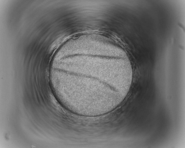 X0000102270002200808221448