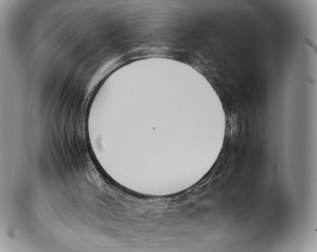 X0000102270004200808221448