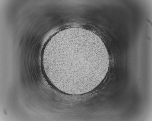 X0000102270006200808221448