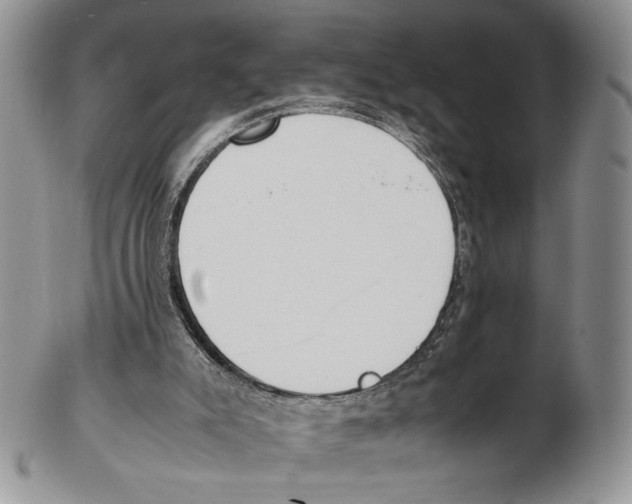 X0000102270007200808221448