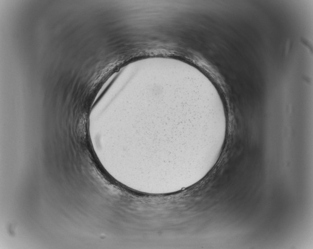 X0000102270009200808221448