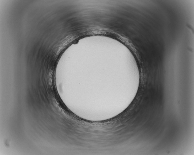 X0000102270010200808221448
