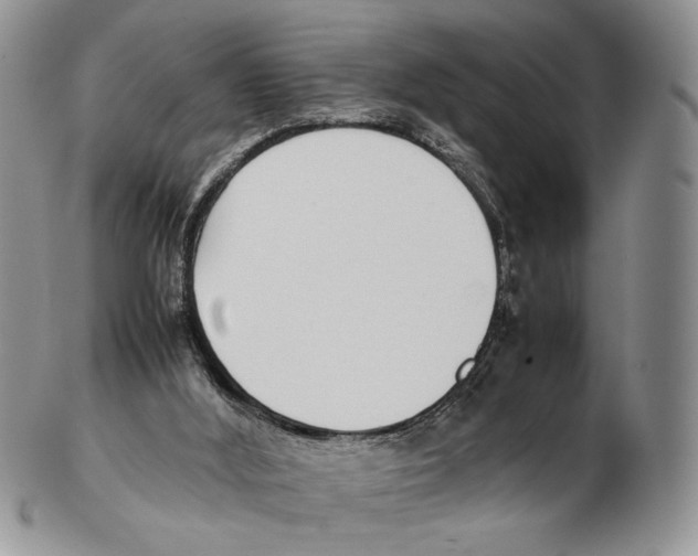 X0000102270012200808221448