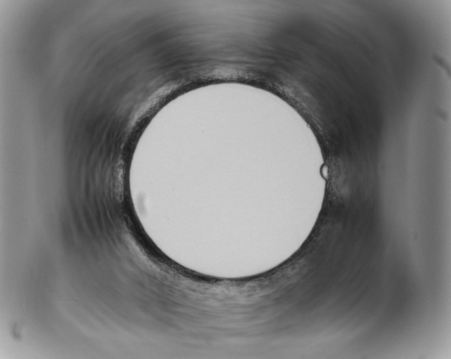 X0000102270016200808221448