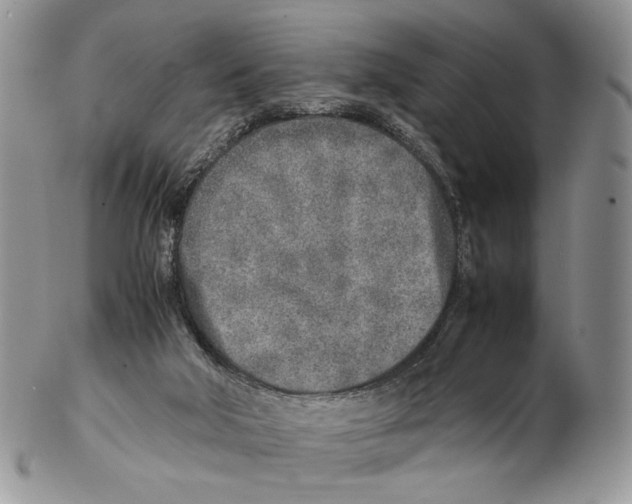 X0000102270018200808221448