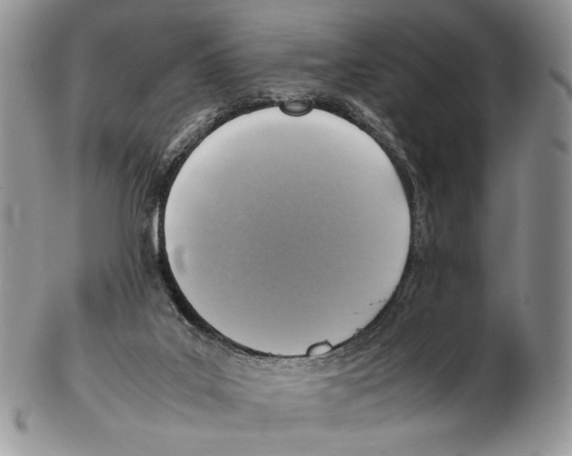X0000102270019200808221448