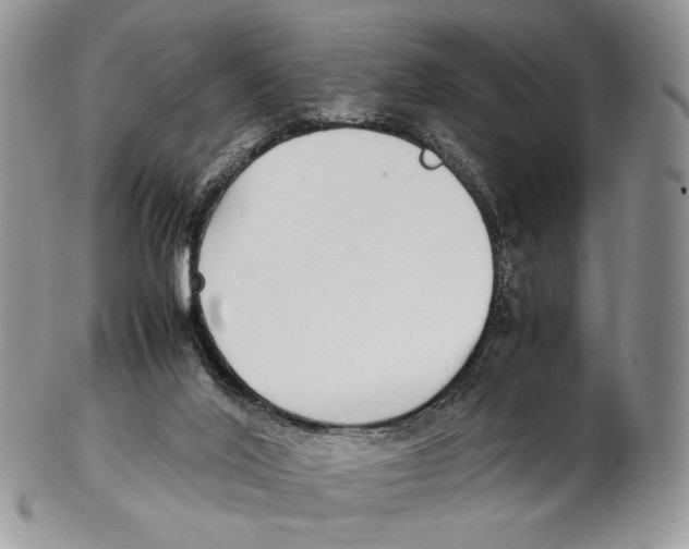 X0000102270020200808221448