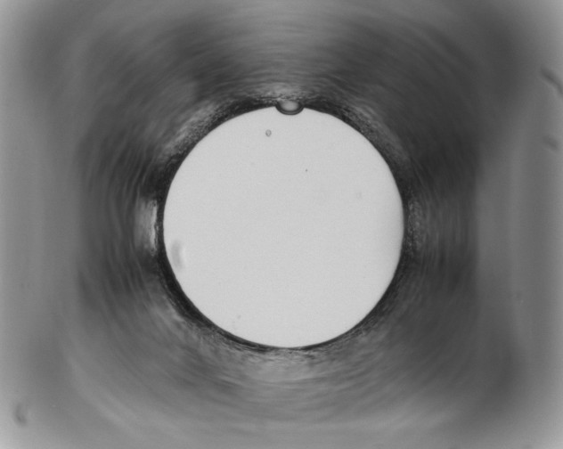 X0000102270024200808221448