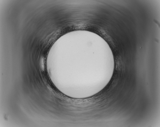 X0000102270026200808221448