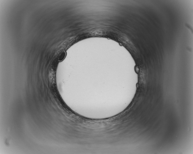 X0000102270029200808221448
