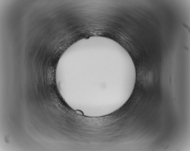 X0000102270030200808221448