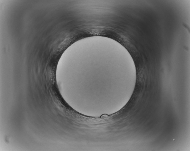 X0000102270031200808221448