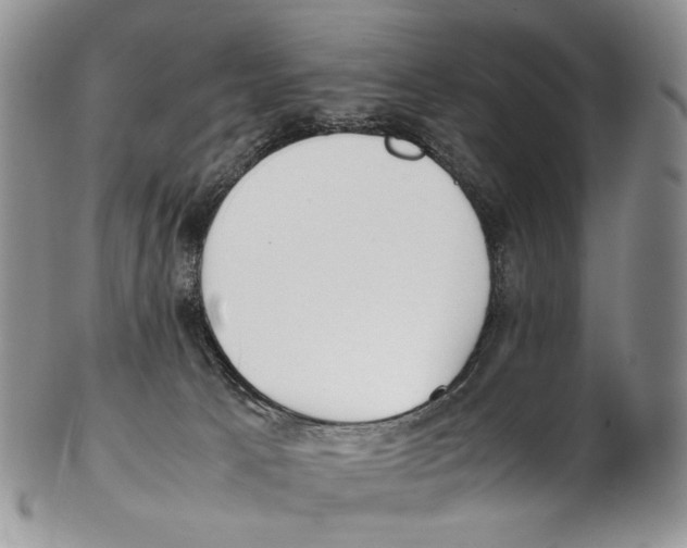 X0000102270033200808221448