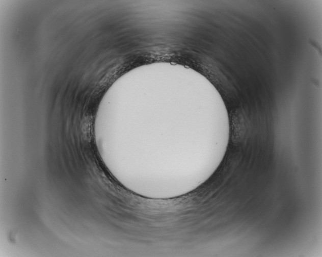 X0000102270034200808221448