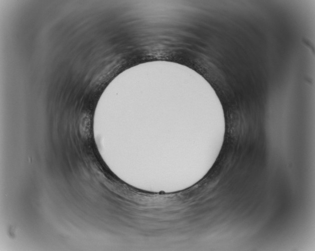 X0000102270036200808221448
