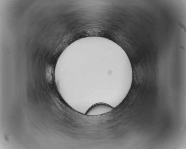 X0000102270038200808221447