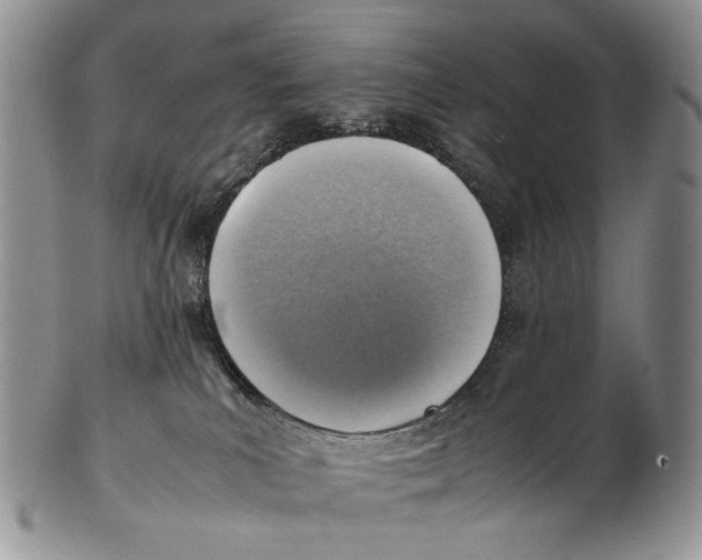 X0000102270039200808221447