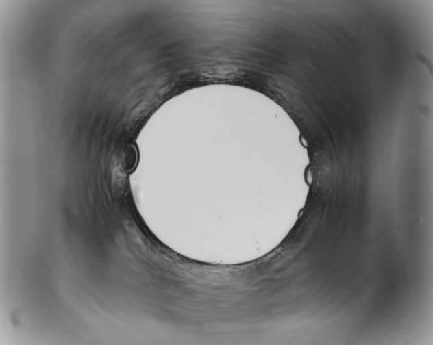 X0000102270040200808221447