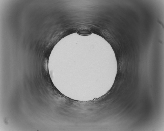 X0000102270041200808221447